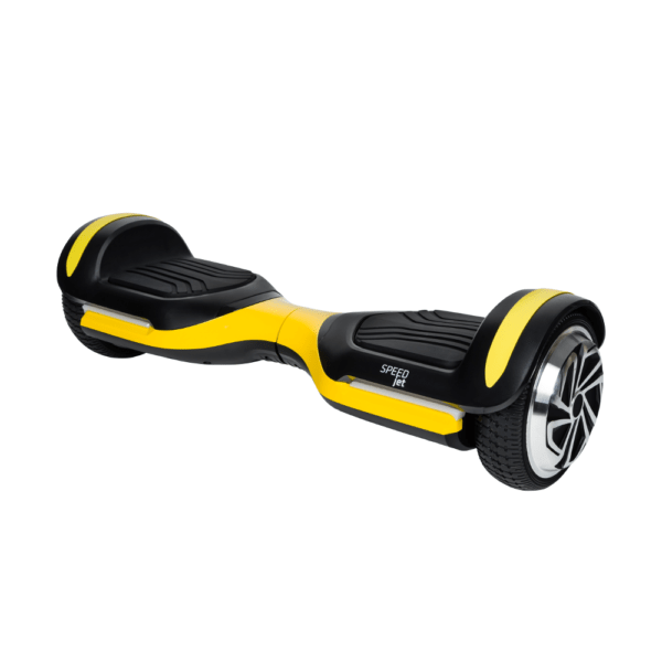 Mini Segway